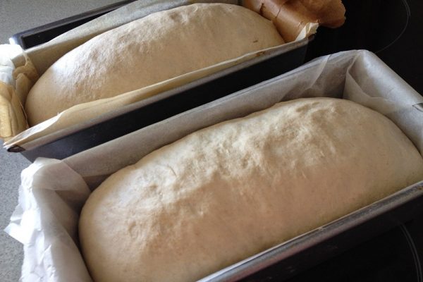 MOLDE PARA PAN 35CM 1 molde Pan