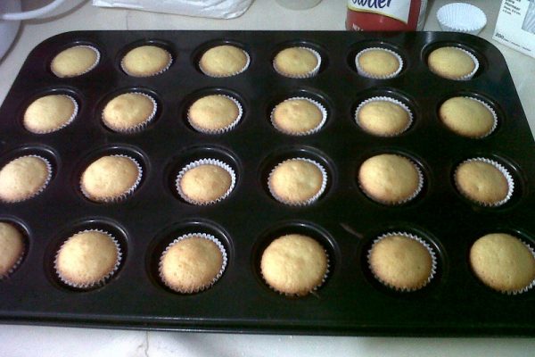 MOLDE DE MINI CAKE x24 1 66019 1