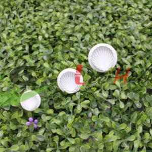 Home 163 LG515140 01